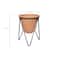 Hello Honey® 8.5" Terra Cotta Pot With Metal Stand Set